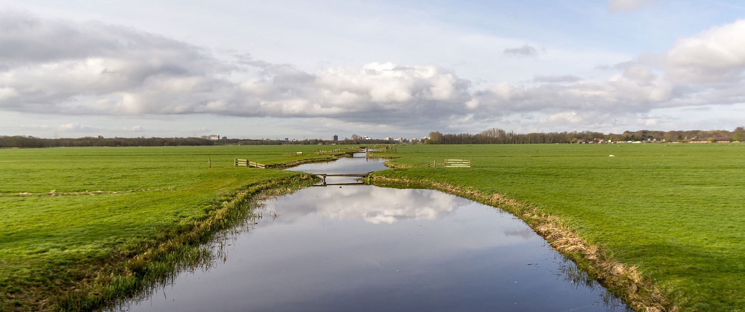 participatieplatform de ronde venen